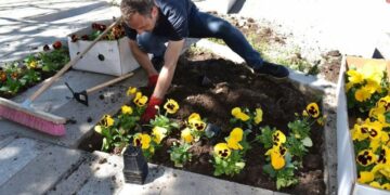 Δήμος Κοζάνης: «Στα ανοιξιάτικα» η κεντρική πλατεία Νίκης (Βίντεο+Φωτογραφίες)