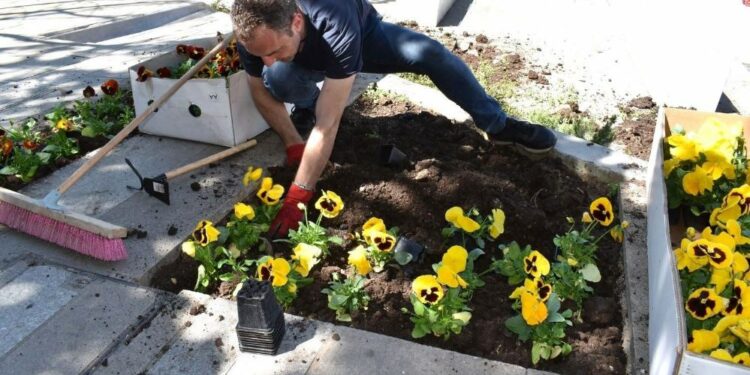 Δήμος Κοζάνης: «Στα ανοιξιάτικα» η κεντρική πλατεία Νίκης (Βίντεο+Φωτογραφίες)