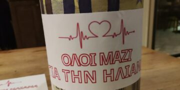 Κοζάνη – Όλοι μαζί μπορούμε. Όλοι μαζί για την Ηλιάνα