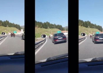 Εγνατία Οδός: Τα άλογα βγήκαν… τσάρκα. Βίντεο