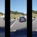 Εγνατία Οδός: Τα άλογα βγήκαν… τσάρκα. Βίντεο