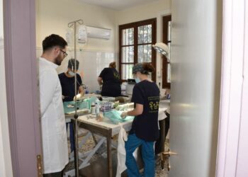 Γιάννης Κοκκαλιάρης: «Ανεκτίμητη η προσφορά πολιτών και εθελοντών στην ορθή διαχείριση των αδέσποτων ζώων συντροφιάς» – Στο Δημοτικό Κτηνιατρείο ο Δήμαρχος Κοζάνης (Φωτογραφίες)