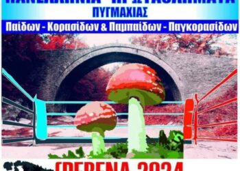 Η καρδιά της Ελληνικής Πυγμαχίας χτυπάει στα Γρεβενά από τις 15 έως 20 Μαΐου