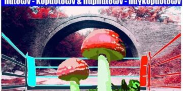 Η καρδιά της Ελληνικής Πυγμαχίας χτυπάει στα Γρεβενά από τις 15 έως 20 Μαΐου