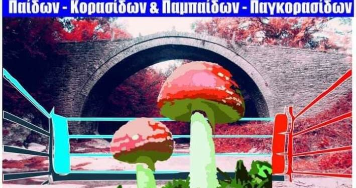 Η καρδιά της Ελληνικής Πυγμαχίας χτυπάει στα Γρεβενά από τις 15 έως 20 Μαΐου