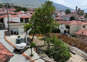 Σιάτιστα: Οι πλάτανοι στην πλατεία μεταφέρονται. Βίντεο