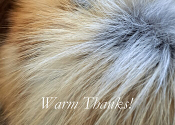 Ευχαριστήριο για την 49η Διεθνή Έκθεση Γούνας Καστοριάς από το σύνδεσμο γουνοποιών