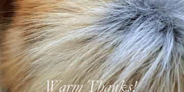 Ευχαριστήριο για την 49η Διεθνή Έκθεση Γούνας Καστοριάς από το σύνδεσμο γουνοποιών