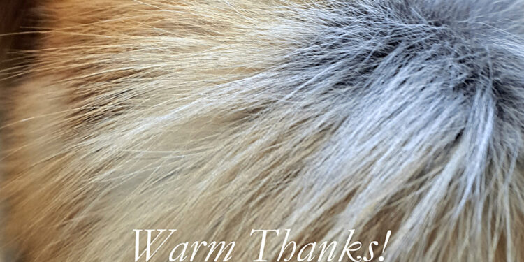 Ευχαριστήριο για την 49η Διεθνή Έκθεση Γούνας Καστοριάς από το σύνδεσμο γουνοποιών