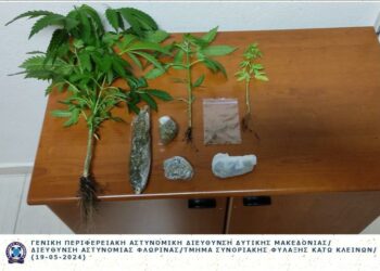Συνελήφθη 57χρονος στη Φλώρινα για παραβάσεις της νομοθεσίας περί ναρκωτικών