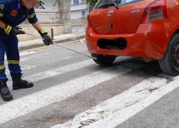 Φίδι σε αυτοκίνητο έξω από το νοσοκομείο Κοζάνης-Πώς απομακρύνθηκε από την Πυροσβεστική-Φωτογραφίες