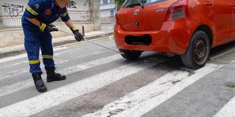 Φίδι σε αυτοκίνητο έξω από το νοσοκομείο Κοζάνης-Πώς απομακρύνθηκε από την Πυροσβεστική-Φωτογραφίες