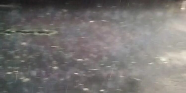 Σφοδρή καταιγίδα με χαλαζόπτωση έπληξε την πόλη των Γρεβενών και κοινότητες (βίντεο)