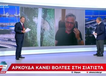 Ο Χρήστος Ζευκλής στον ΣΚΑΙ για τις αρκούδες στη Σιάτιστα.  Βίντεο