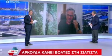 Ο Χρήστος Ζευκλής στον ΣΚΑΙ για τις αρκούδες στη Σιάτιστα.  Βίντεο