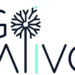 Θέση απόκτησης εργασιακής εμπειρίας ως Project manager/ youth worker στην GO Alive