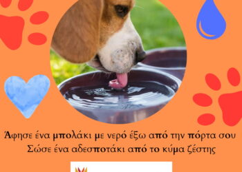 «Άφησε ένα μπολάκι με νερό έξω από την πόρτα σου» – Έκκληση Δήμου Κοζάνης για νερό στα αδέσποτα ζώα συντροφιάς τις ημέρες με ζέστη
