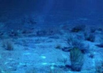 βυθός, θαλασσα