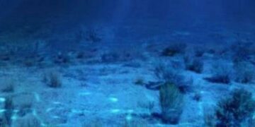 βυθός, θαλασσα