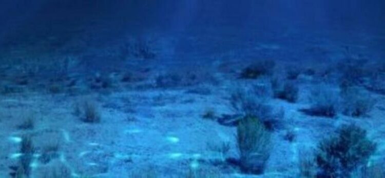 βυθός, θαλασσα