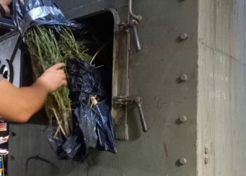 Φλώρινα: Έκαψαν ναρκωτικά στο εργοστάσιο του ΑΗΣ Μελίτης.  Φωτογραφίες