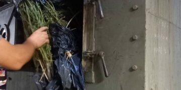 Φλώρινα: Έκαψαν ναρκωτικά στο εργοστάσιο του ΑΗΣ Μελίτης. Φωτογραφίες