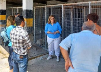 Διαχείριση Αδέσποτων Ζώων Συντροφιάς: «Ο Δήμος Κοζάνης είναι ένας Δήμος που προσπαθεί και οι προσπάθειες αποδίδουν» – Αυτό τόνισε η αρμόδια Ειδική Γραμματέας του Υπουργείου Εσωτερικών Μαριάνθη Δημοπούλου