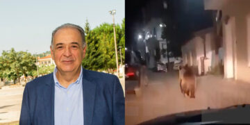 Ο δήμαρχος Άργους Ορεστικού για την νύχτα τρόμου με την αρκούδα: “Θα γίνει ό,τι πρέπει να γίνει για να προστατέψουμε τον άνθρωπο”