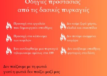 Δήμος Κοζάνης: Οδηγίες προστασίας από τις δασικές πυρκαγιές