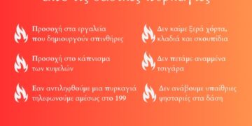 Δήμος Κοζάνης: Οδηγίες προστασίας από τις δασικές πυρκαγιές