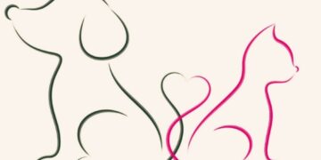 Δήμος Κοζάνης: Δωρεάν στειρώσεις αδέσποτων ζώων συντροφιάς και δεσποζόμενων ζώων ευπαθών κοινωνικών ομάδων στις 15, 16 και 17 Ιουλίου 2024