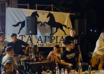Σιάτιστα: Τα Άγρια γλέντησαν στο κέντρο. Βίντεο