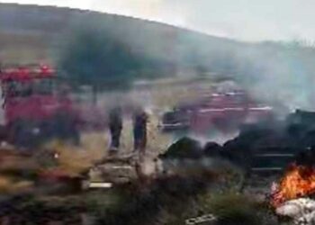 Γαλατινή: Φωτιά από κεραυνό σε κτηνοτροφική μονάδα -Δείτε τα βίντεο