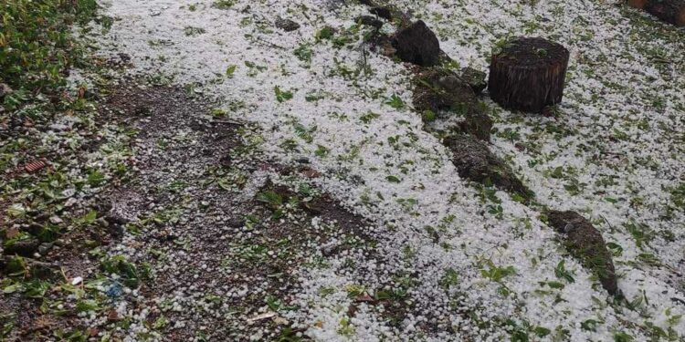 Σέρβια: Βροχή και χαλάζι σε Νεράϊδα και Μεταξά.  Εικόνες