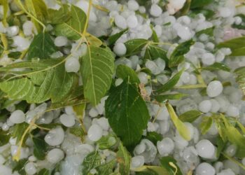 Σέρβια: Βροχή και χαλάζι σε Νεράϊδα και Μεταξά.  Εικόνες