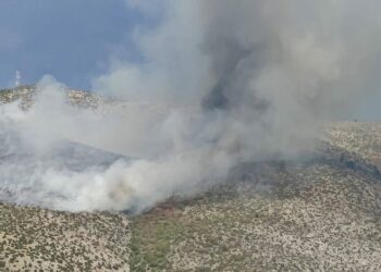 Νέα μεγάλη φωτιά από κεραυνό-Ανάμεσα σε Κομνηνά και Ανατολικό Εορδαίας-Βίντεο και φωτογραφίες