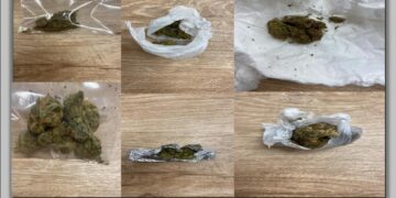 Δυτική Μακεδονία: 21 συλλήψεις για ναρκωτικά το πενθήμερο 01 έως 05 Αυγούστου