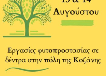 Εργασίες φυτοπροστασίας σε δέντρα στην πόλη της Κοζάνης στις 13 και 14 Αυγούστου 2024