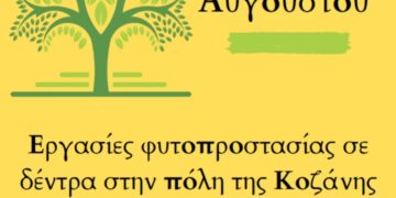 Εργασίες φυτοπροστασίας σε δέντρα στην πόλη της Κοζάνης στις 13 και 14 Αυγούστου 2024