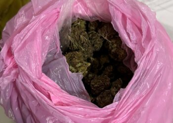 Κοζάνη: Πήγε στα ΚΤΕΛ να πάρει το δέμα με τα ναρκωτικά!!