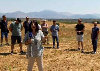 Νεάπολη – Βόιο: Απελπισμένοι οι αγρότες από την καταστροφή των καλλιεργειών τους λόγω καύσωνα.  Βίντεο