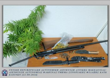 Φλώρινα: Σύλληψη 60χρονου με κάνναβη και όπλα