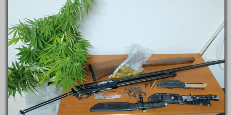 Φλώρινα: Σύλληψη 60χρονου με κάνναβη και όπλα