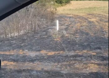 Βόιο: Νέα πυρκαγιά και πάλι στο Καλονέρι. Βίντεο