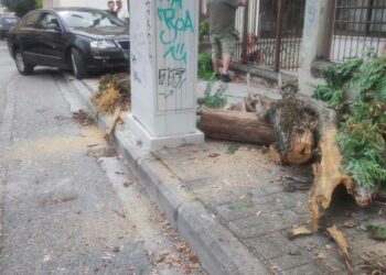 Αυτοκίνητο…”τα πήρε όλα σβάρνα” έξω από το 10ο Δημοτικό Σχολείο Κοζάνης-Ξερίζωσε δέντρο και έριξε πινακίδα- Φωτογραφίες