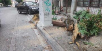 Αυτοκίνητο…”τα πήρε όλα σβάρνα” έξω από το 10ο Δημοτικό Σχολείο Κοζάνης-Ξερίζωσε δέντρο και έριξε πινακίδα- Φωτογραφίες