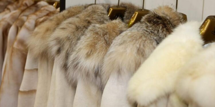 Π. Κουκουλόπουλος: «Στη Βουλή το αδιέξοδο των 120 γουνοποιών που δεν εντάχθηκαν σε κανένα πρόγραμμα στήριξης»