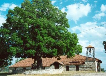 Ενορία Αγίου Δημητρίου Σιάτιστας: Η Εορτή του Αγίου Κοσμά του Αιτωλού