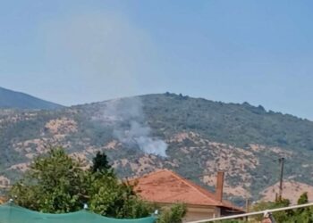 Πτολεμαΐδα: Πυρκαγιά στην κοινότητα Άρδασσας