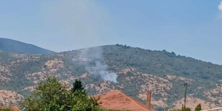 Πτολεμαΐδα: Πυρκαγιά στην κοινότητα Άρδασσας